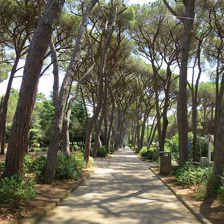 Al Mare-1 By Interhome Apartment *